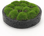 NAHARO New Moss Bowl,8''Handmade Cement Bowl–Artificial Moss Centerpiece for Home Decoration, Living Room, Office, or Coffee Table Display by NAHARO