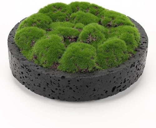 NAHARO New Moss Bowl,8''Handmade Cement Bowl–Artificial Moss Centerpiece for Home Decoration, Living Room, Office, or Coffee Table Display by NAHARO