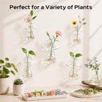 5Pcs Starry Glass Propagation Vases, 2.6mm Glass Vases, 6kg Suction Cups - Image 6