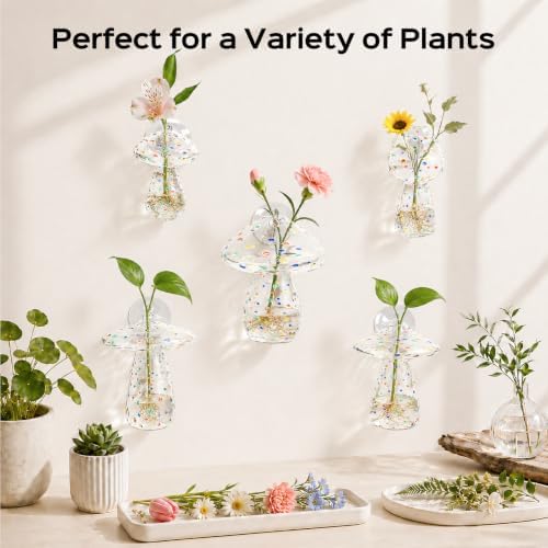 5Pcs Starry Glass Propagation Vases, 2.6mm Glass Vases, 6kg Suction Cups - Image 6