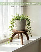 2 Pcs Short Plant Stand Small Wood Plant Stool for Indoor Plants - Image 3