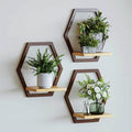 3 Pack Hexagon Wall Plant Stands, 9 Inch Wood Shelf, Coffee by HomecourtyardsInterio