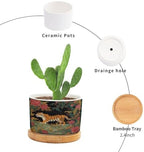 Chinoiserie Tiger Ceramic Planters Green and Turquoise Tiger Stripe Planters for Indoor Plants with Drainage Holes and Saucers Pot for Pots Outdoor Indoor Plants - Image 3