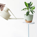 Self Watering Plant Pot with Drainage Hole,Plant Pots Outdoor Flower Pots for Indoor Plants,Modern Green Plastic Self Watering Planters Succulent Pot 7pcs/Set - Image 7