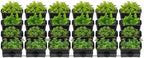 24Pack Vertical Wall Planter, 13 inch Wall Mounted Garden Planters, Stackable Wall Hanging Planter, Plastic Flower Pot with 4 Drainage Tray & 6.56FT Drainage Pipe for Indoor and Outdoor (Black) by Unknown