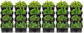 Wall-Mounted Vertical Garden Planter Set – 24 Self-Watering Planters with Drainage Pipe, Stackable Wall Planters for Indoor & Outdoor Use (Black, 24PCS) by Okasiki
