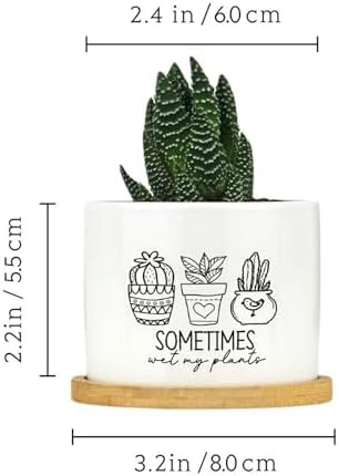 DreamAutumn Pack of 3 Planters Ceramic Sometimes Wet My Plants Ceramic Pots with Drainage Holes Round Flowerpot Bamboo Tray Plant Pots for Succuelnt and Little Snake Plants - Image 2