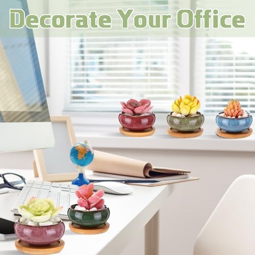 24 Pcs Small Succulent Pots with Drainage - 2.5 Inch Mini Ceramic Cactus Planters with Bamboo Saucers, 8 Colors Ice Crack Glaze Flower Pots for Plants, Home Office Desk Decor - Image 6