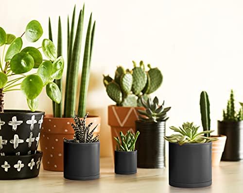D'vine Dev 20-Pack Plastic Pots with Saucers, 2-4 in, Black, 74-U-B - Image 6