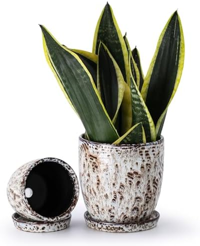 4+5.75 Inch Ceramic Planter Set of 2 with Drainage Hole and Saucer for Plants, Indoor-Outdoor Large Round Succulent Orchid Flower Pot -Reactive Glaze Speckled(Inner-pots not Larger Than 5 Inch) - Image 6