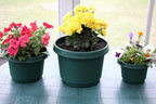 12-Piece Hunter Green Flower Pot and Saucer Set, 2"–12" - Image 4