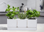 D'vine Dev 2-Pack Plastic Herb Garden Planter Set, White, 76-V-A-2 - Image 4