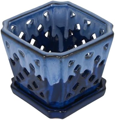 W&W Orchid Pot with Holes and Saucer for Repotting and Better Grow, White and Blue, 7 Inches - Image 5