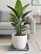 Square Ceramic Plant Saucer Tray 12 13 14 Inch Grey,14" OD x12.2 ID x1.6 Deep, Sturdy Heavy Duty Glazed Planter Drip Flower pots with Catch Basin for Indoor Outdoor Plants(14" Grey) - Image 5