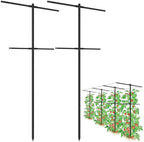 2 Pack Metal Detachable Raspberry & Grape Vine Trellis for Climbing Plants, Heavy-Duty 7 Ft Tall Large Vineyard Trellis Support, Sturdy Garden Stakes for Outdoor Raised Beds Vegetables Fruits Flowers by Heytimi