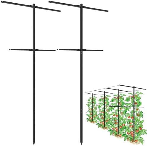 2 Pack Metal Detachable Raspberry & Grape Vine Trellis for Climbing Plants, Heavy-Duty 7 Ft Tall Large Vineyard Trellis Support, Sturdy Garden Stakes for Outdoor Raised Beds Vegetables Fruits Flowers by Heytimi
