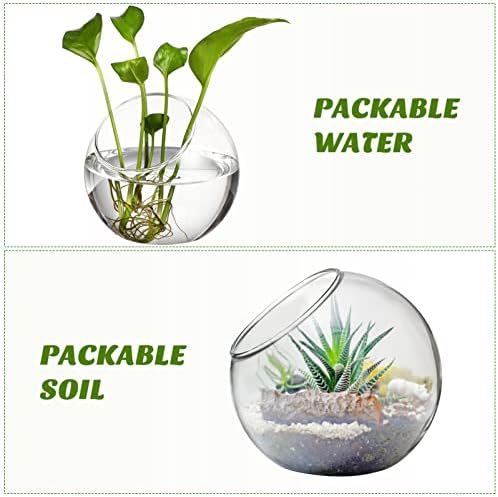 INOOMP 3 Pcs Glass Terrariums for Plants,Plant Terrarium Display Glass Tabletop Succulent Air Plant Planter Globe Microlandschaft House - Image 3