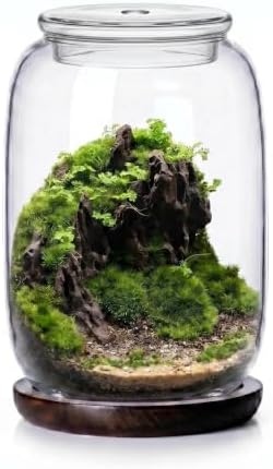 Glass terrariums for Plants .Venus Fly Trap Terrarium jar with Lid and Base. for Succulents, Moss.Indoor Home Decor.Mini Garden Planter by Unknown