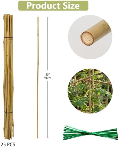 Plant Stakes Natural Bamboo Sticks - 25 Pcs Bamboo Garden Stakes for Plants 3 FT Plant Support Sticks with Twist Ties for Tomatoes Beans Orchid Flowers Indoor Outdoor Potted Climbing Plants - Image 5