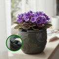 HERDUK 6.5” Ceramic Self Watering African Violet Planter with Embossed Floral Design – Durable Indoor Plant Pot for Orchids, Succulents, and Houseplants by Herduk
