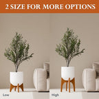 KUTE NEST 17" H x 19.3" W Acacia Solid Wood Plant Stand - Walnut - Image 2