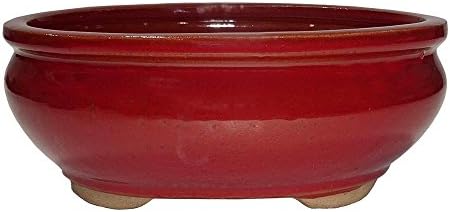 Brussel's 8" Oval Bonsai Glazed Ceramic Pot (Medium, Red) by BrusselsBonsai