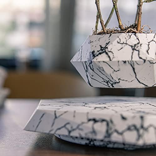 Floating Plant Pot Planter Suspension Air Bonsai Pot Flower Pot Levitating Plant Pot for Home Office - Image 2