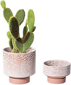 UBEE Planter Ceramic Flower Pot for Indoor Plants | 5.5 inch + 4.9 inch Plant Pot with Saucer and Drainage Hole for Aloe, Snake Plants, Pothos, Orchid, Terracotta with White Glaze Dot by Unknown