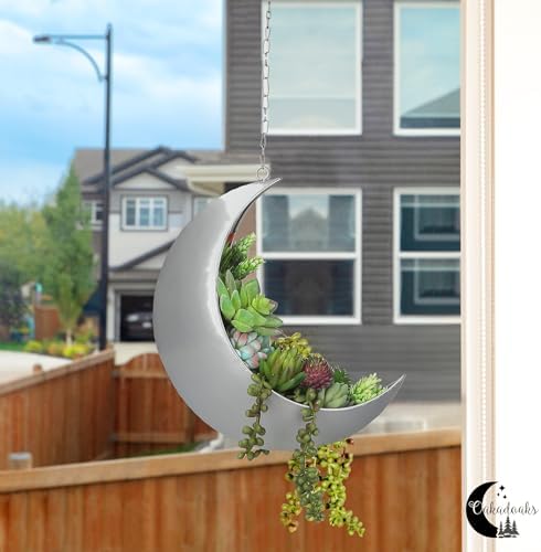 Hanging Moon Planter for Moon Room Decor - Great for Succulents, Air Plant, Mini Cactus, Faux, Artificial Plants-Boho Hanging Planters for Indoor Plants, Witchy Gifts for Women, Birthdays,Plant Lovers - Image 4