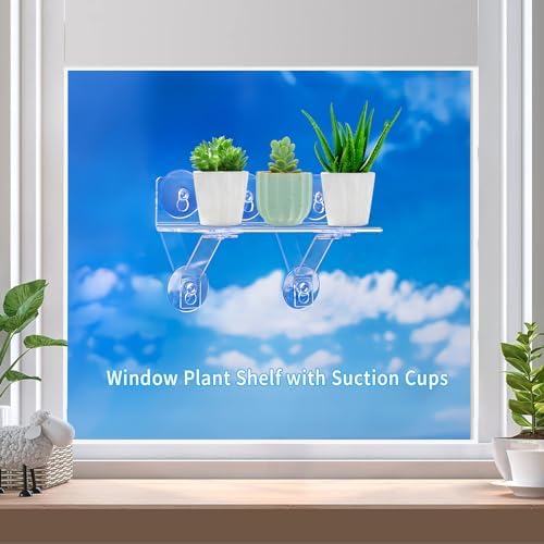 12 Inch 2 Pack Plant Window Boxes Shelf Sill Suction Cup Planter, 5-Inch Extra Wide Window Sill Extender with Load Bearing Bracket for Herbs, Succulents, Clear Acrylic Indoor Plant Stand, Planter Holder1 - Image 3