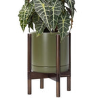 D'vine Dev Ceramic Pot with Walnut Wood Stand, Olive, 10 in, 55-B-X-J by DvineDevPlanterPotsandStand