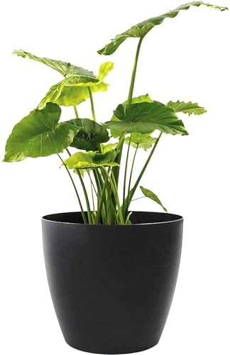 Memphis 13" Round Indoor Floor Planter Pot – Lightweight & Durable Plastic, Modern Design, Made in USA, Recyclable Large Plant Container for Home & Office Décor (Black) by GreenlinePlanters