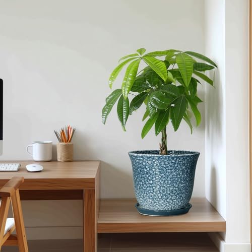 10 Inch Plant Pot, Ceramic Planter for Indoor Plants, Blue - Image 7