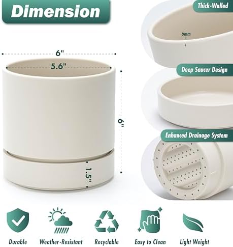 Phoenix Vine 6 Inch Planter Pot with Drainage Hole & Saucer, Deep Water Catch Tray, Straight Cylindrical Round Pot for Plants, Oatmeal, Pack of 3, 23-E-S-3 - Image 3