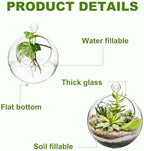 M METERXITY 1-Pack Clear Glass Air Plant Terrarium, 2.8 Inch Angled with Handle Plant Display Glass for Windowsill/Outdoor Garden/Home Decor, Flat Bottom Globe Bowl Terrarium [Transparent] - Image 2