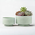 Succulent Pots, 8"+6" Plant Pots, Ceramic Planters for Indoor Plants by YBXYIBOXUAN