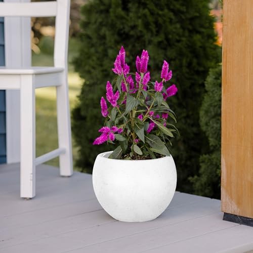 Beuta Large Poly Planters for Outdoor Plants - Set of 3, 8/12/14 Inches Outdoor Planters for Porch - Tall Planter for Outdoor & Indoor Plants | Large Indoor Plant Pot - USA Made - Limewash - Image 5