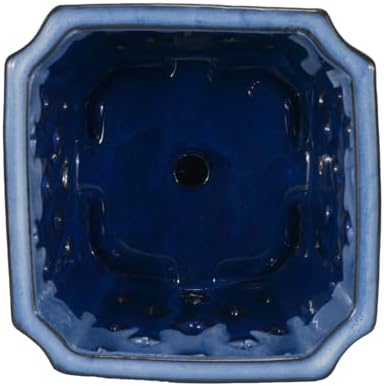 W&W Orchid Pot with Holes and Saucer for Repotting and Better Grow, White and Blue, 7 Inches - Image 3