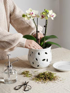 LE TAUCI Ceramic Orchid Pot, 6.5 Inch Orchid Pots with Holes, Orchid Planter for Repotting, Indoor Flower Plant Pot with Drainage and Saucer, White - Image 2