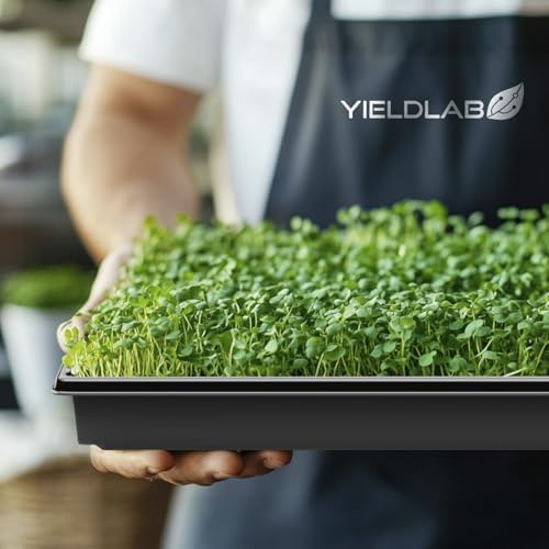 10x20 Inch Black Plastic 100 Pack Plant Propagation Tray No Holes - Image 7