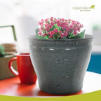Headwind Riverside Collection – 14" Calcite Grey Glazed Decorative Plant Pots Indoor with Drainage & Outdoor - Modern Flower Pot Weather-Resistant Lightweight Planter by Robert Allen - Image 5