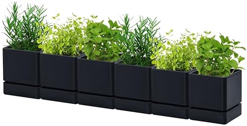 D'vine Dev 6-Pack Plastic Herb Planter Pots, 4 in, Black, 76-Y-B6-1 by DvineDevPlanterPotsandStand