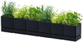 D'vine Dev 6-Pack Plastic Herb Planter Pots, 4 in, Black, 76-Y-B6-1 by DvineDevPlanterPotsandStand