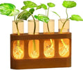 Plant Propagation Station Decorative Propagation Station with Adjustable LED Light Wood Stand & 4 Glass Test Tubes for Hydroponic Plants by Unknown
