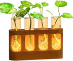 Plant Propagation Station Decorative Propagation Station with Adjustable LED Light Wood Stand & 4 Glass Test Tubes for Hydroponic Plants by Unknown