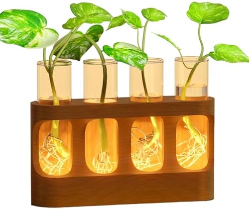 Plant Propagation Station Decorative Propagation Station with Adjustable LED Light Wood Stand & 4 Glass Test Tubes for Hydroponic Plants by Unknown