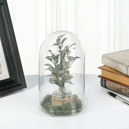 Plymor 4.5" x 8" Glass Display Dome Cloche (Clear Glass Tray Base), Pack of 12 - Image 2