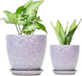 8 Inch + 6 Inch Retro Ceramic Planter Set of 2 with Drainage Hole and Saucer for Multiple Plants, Indoor-Outdoor Garden Pots for Succulent, Orchid, and Flower (Retro Purple) by Bestseler