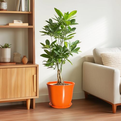 10 Inch Plant Pot, Ceramic Pots for Plants with Drainage, Orange - Image 4