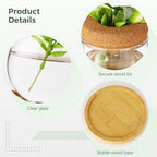6PCS Plant Propagation Station, Desktop Plant Propagation Jars with Wood Lid and Stand, Glass Propagation Vases for Plant Growing, Hydroponic Home, Office Decor (6 Styles) - Image 3